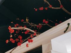 -春天来了(印象新天地店)