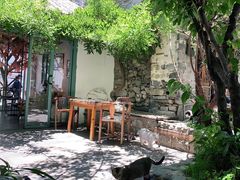 -喵屿·大理花园猫咖