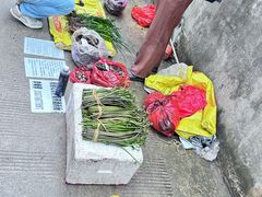 -桂林市花鸟市场