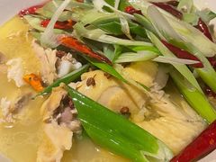 椒麻鸡-春暖花开(西溪店)