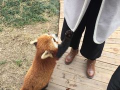 -仙芝竹尖生态园旅游景区