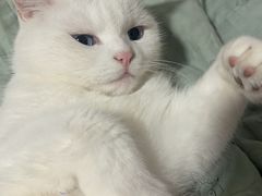 -簋街