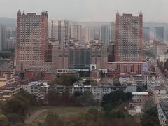 -郝刚刚羊杂割(柳巷店)