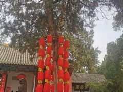 -关林