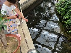 -忆江南·生态餐饮宴会酒店