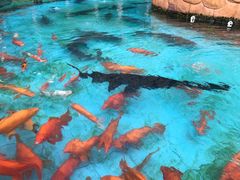 -忆江南·临江鱼馆