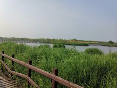 -西青郊野公园