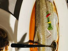 -醉庐·新上海菜(南京西路店)
