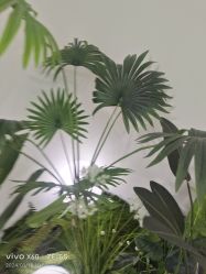 -HEYAN荷妍专业脱毛连锁机构