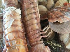 -港畔赶海蒸汽海鲜烧烤自助(仙螺岛店)