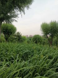 -27°罗马风情婚纱摄影