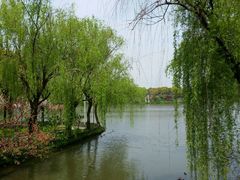 -南汇桃花村