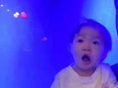 -福州罗源湾海洋世界旅游区