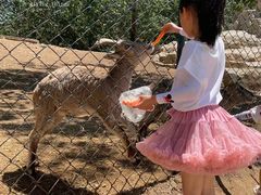 -大连森林动物园