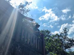 -广州白江湖森林公园