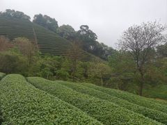 -象头山国家级自然保护区