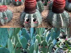 -深圳仙湖植物园