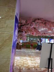 -重庆军美医疗美容医院