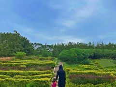 -滨河世纪广场公园