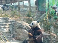 -武汉动物园