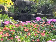 -花溪雨·森林餐厅(石基店)