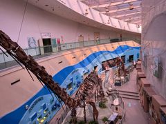 -陕西自然博物馆