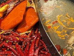 -蜀大侠火锅(总府路店)