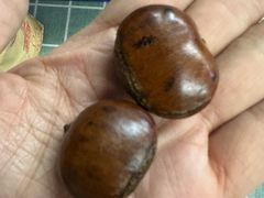 -高记福桂桂花糖炒栗(鼓楼店)