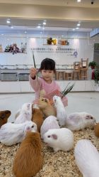 -Moni星球萌宠·小马宝莉·灵蛇·高端高阶全萌宠互动体验俱乐部(红豆国际广场店)