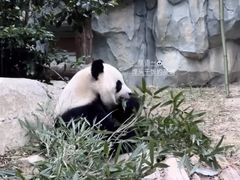 -泉州海丝野生动物世界