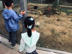 -青岛森林野生动物世界