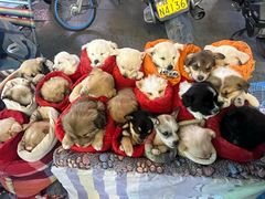 -正宁路小吃夜市