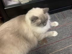 -零纪元VR体验馆·桌游(黄浦店)