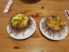 -海胆小馆(东北水饺·春柳店)