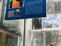 -无锡动物园·太湖欢乐园