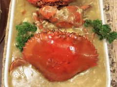 -茉莉.Red Crab