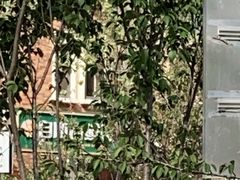 -田记自助海鲜饺子