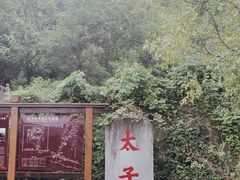 -武当山风景区-太子坡