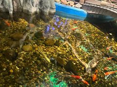 -砂之船奥特莱斯(合肥店)