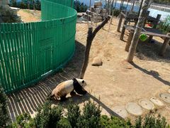 -西霞口神雕山野生动物世界