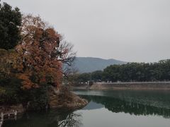 -蒋氏故居