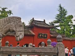 -洛阳白马寺