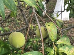 -酷鱼垂钓CLUB(朝阳区博大路店 )