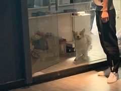-Moss7Club 剧本杀桌游(inspark店)