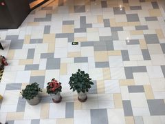 -鹏欣水游城