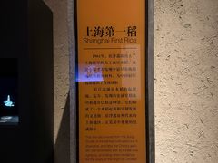 -上海崧泽遗址博物馆