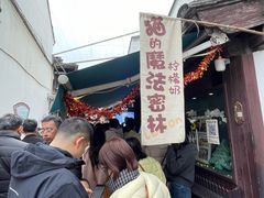 -猫的魔法密林(衣裳街店)