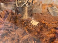 -顺城金记卤鸡·清真