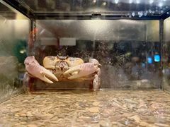 -太平洋海底世界