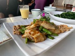 美极百灵菇-云中小雅